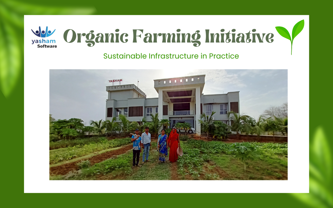 Nurturing Sustainability: A Glimpse into Our Organic Farming Initiative